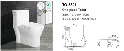 Vloergemonteerd toilet uit één stuk